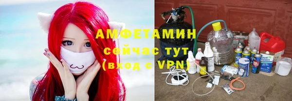 хмурый Алзамай